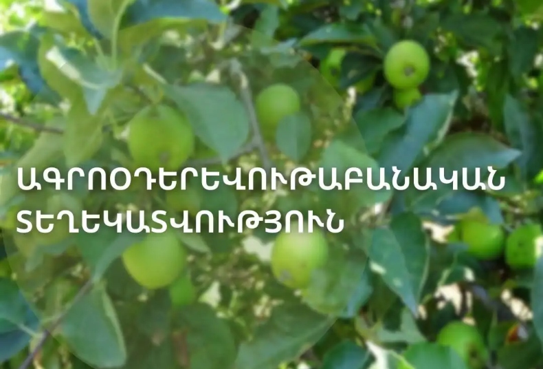Blog photo