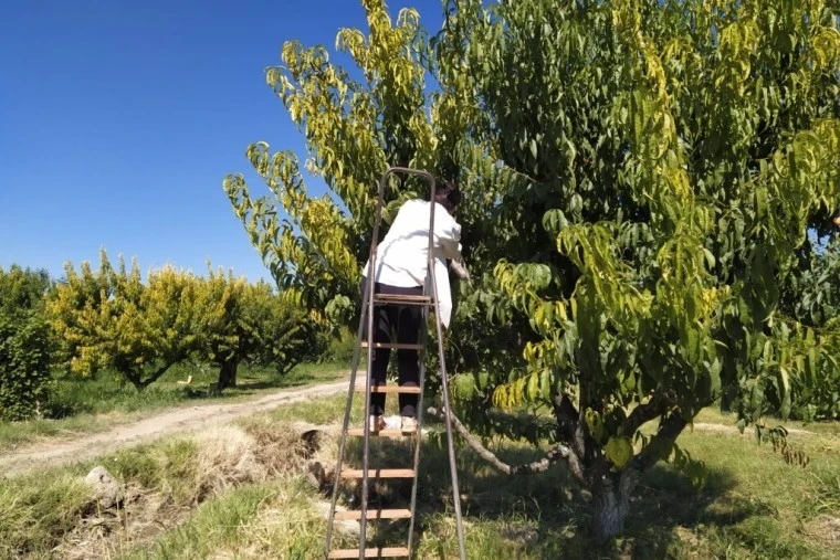 Շիրակի, Լոռիի, Գեղարքունիքի, Արագածոտնի և Կոտայքի լեռնային շրջաններում այս գիշեր սպասվում է մինչև 4 աստիճան ցուրտ